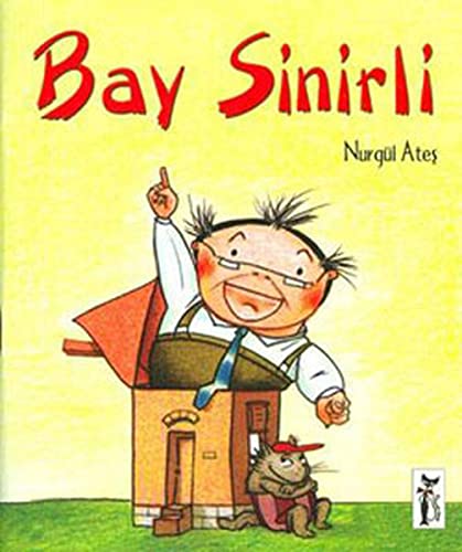 Bay Sinirli (Paperback)
