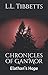 Chronicles of Gan'Mor: Elat...