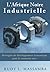 L'Afrique Noire Industrielle by Rudy L. Massamba