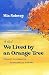 We Lived by an Orange Tree
