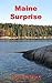 Maine Surprise by Ross Carson