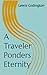 A Traveler Ponders Eternity