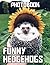 A Photo Book Of Funny Hedge...