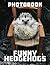 Picture Of Funny Hedgehogs:...