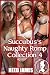 Succubus's Naughty Romp Collection 4