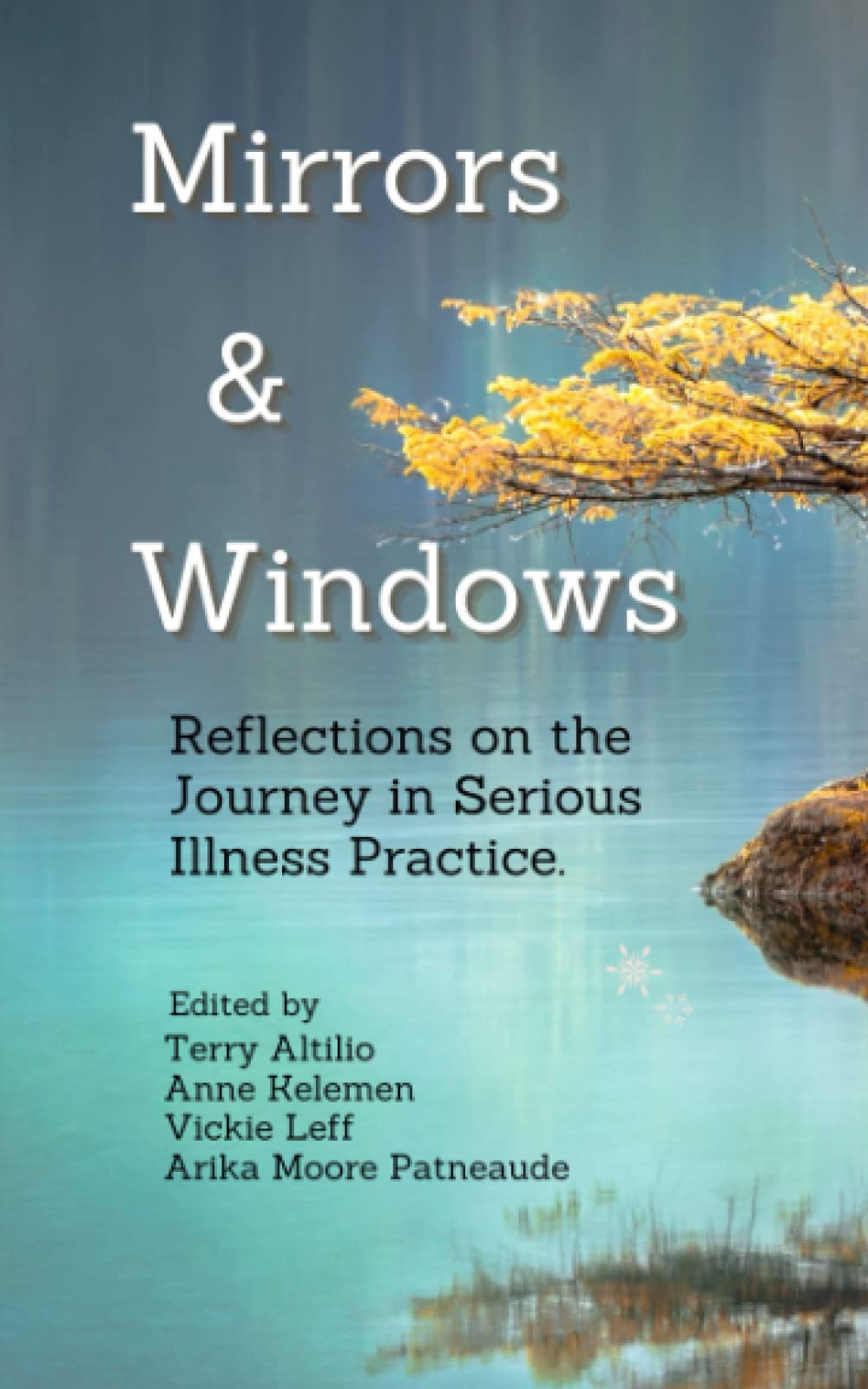 Mirrors and Windows: Reflections on the Journey in Serious Illness Practice (Paperback)