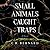 Small Animals Caught in Traps: A Novel