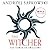 The Tower of Swallows (The Witcher, #4)