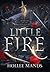Little Fire