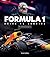 The Formula 1 Drive to Survive Unofficial Companion: The Stars, Strategy, Technology, and History of F1