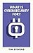 What Is Cybersecurity For? by Tim Stevens