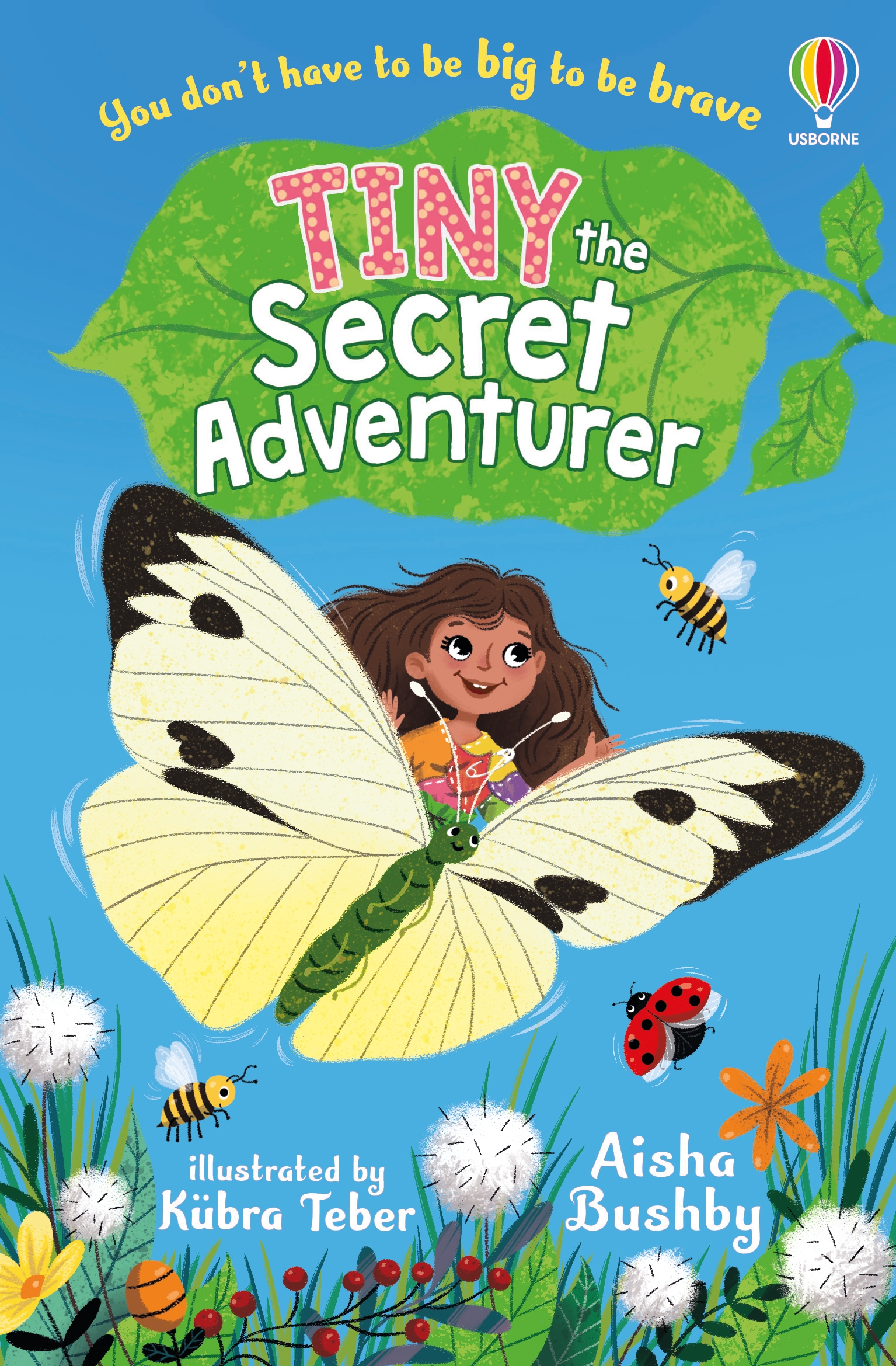 Usborne Tiny, the Secret Adventurer. (Paperback)