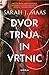 Dvor trnja in vrtnic by Sarah J. Maas