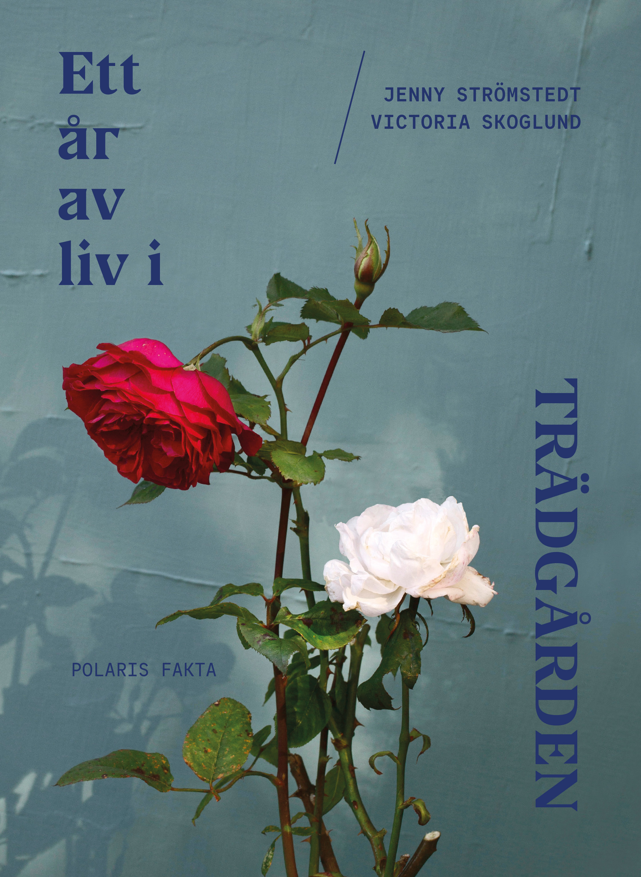 Ett år av liv i trädgården (Hardcover)