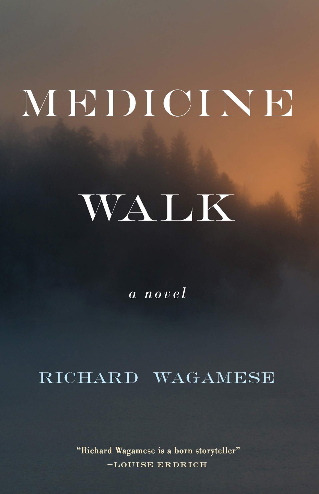 Read Medicine Walk: A Novel