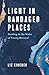 Light in Bandaged Places by Liz Kinchen