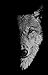 In the company of wolves: W...