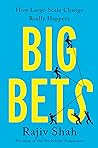 Big Bets: How Large-Scale Change Really Happens