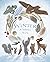 Winter: A Solstice Story
