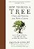 How to Read a Tree: Clues and Patterns from Bark to Leaves (Natural Navigation)