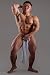 Muscle Model Japan: rugby