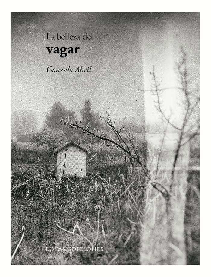La belleza del vagar (Paperback)