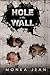 HOLE IN THE WALL by Monka Jean