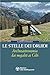 Le stelle dei druidi by Guido Cossard