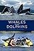 Whales and Dolphins by Philippa Brakes