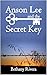 Anson Lee and the Secret Key