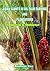 OIL PALM PLANTATIONS: INDON...