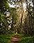 adventure in the jungle: th...