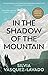 In The Shadow of the Mountain