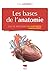 Les Bases de l'anatomie en ...