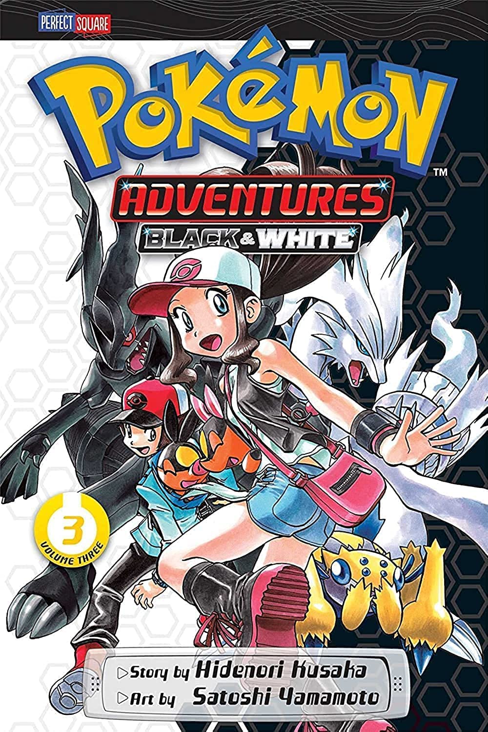 Pokémon Adventures: Black & White, Vol. 3