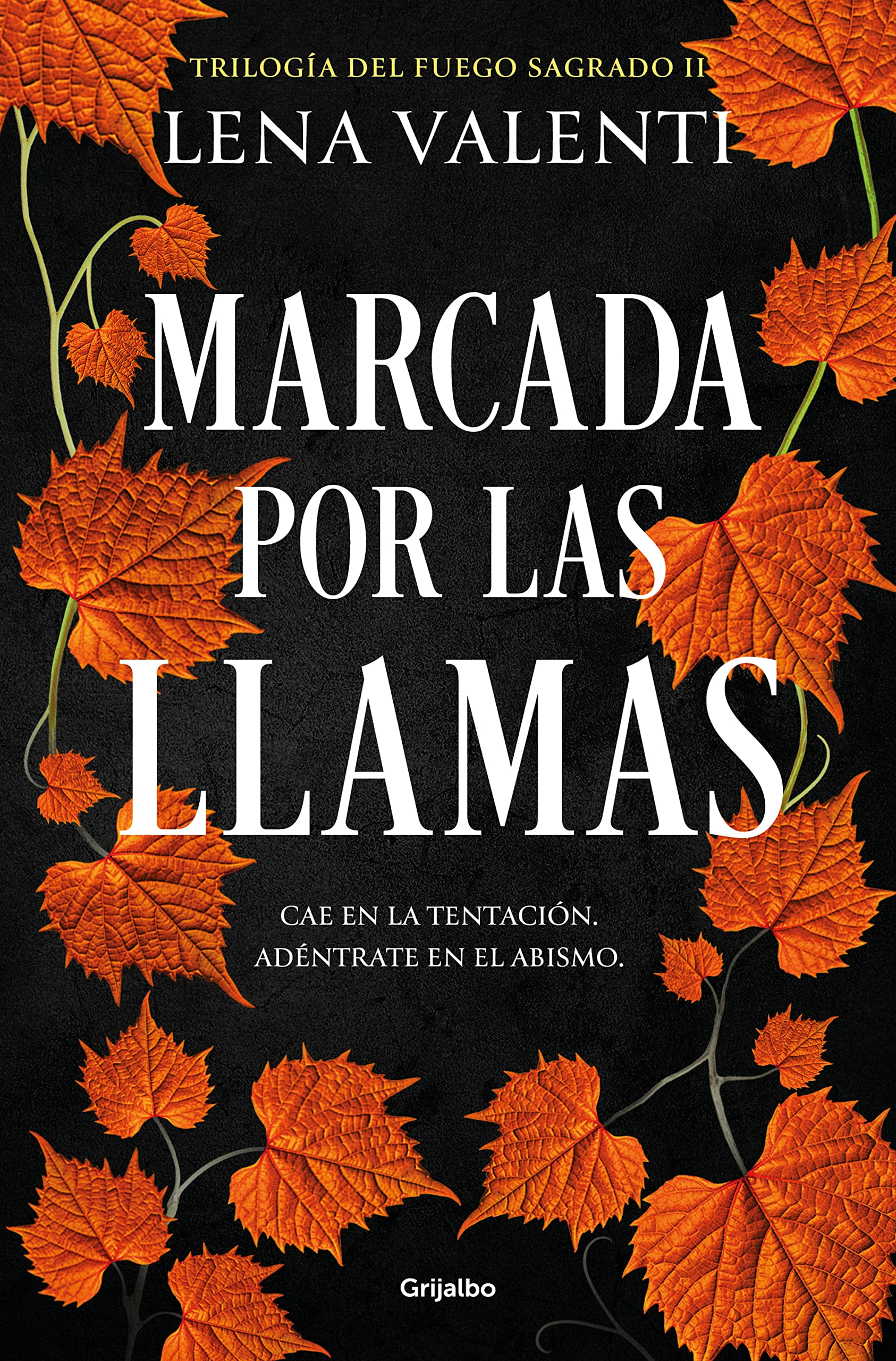 Marcada por las llamas (Trilogía del fuego sagrado, #2)