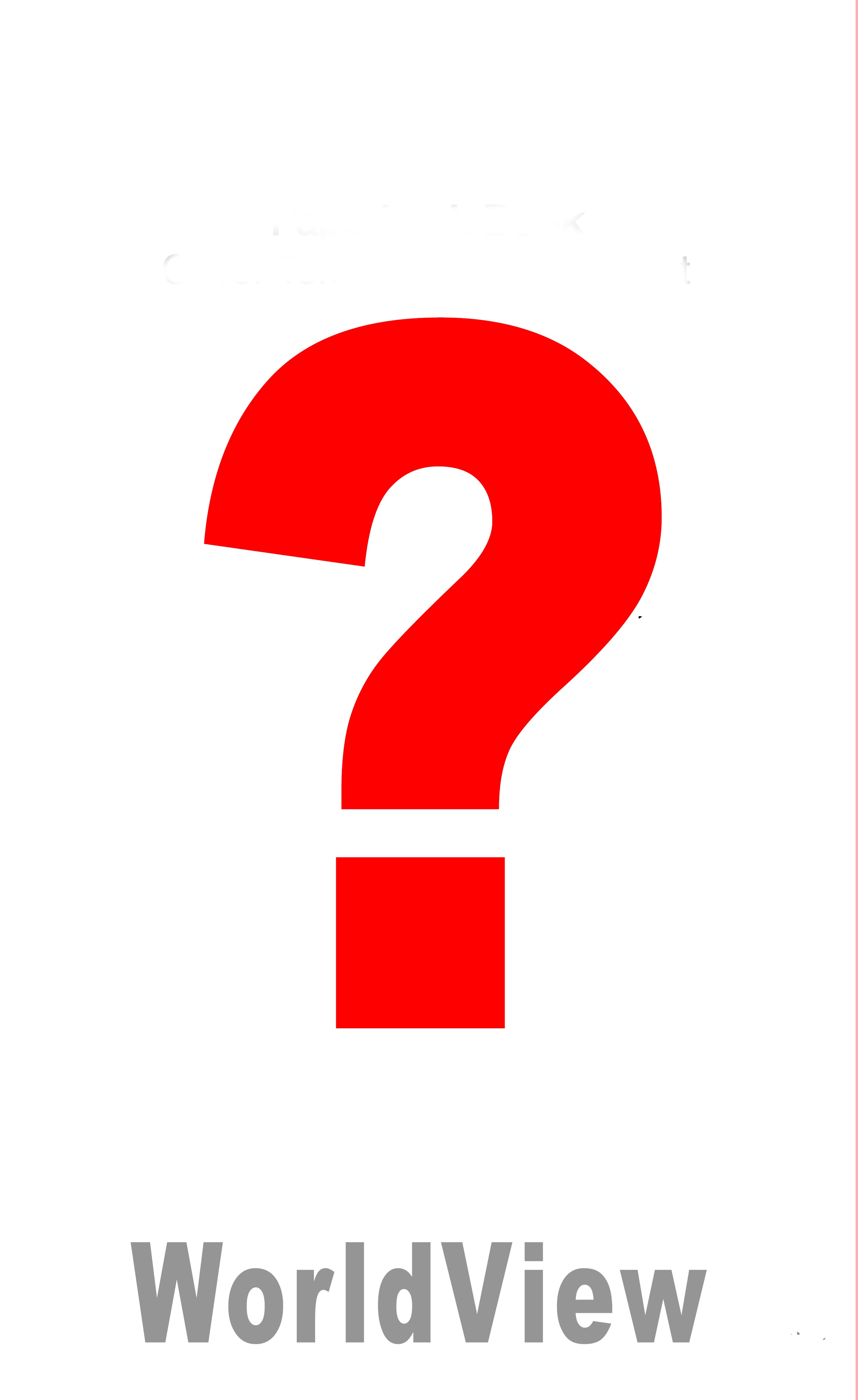 WorldView: An Outlier's Essays and Opinions on Thought, Consciousness and Intelligence. (Paperback)