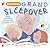 Playsongs Grand Sleepover
