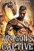 Dragon's Captive by Chase Meadows