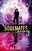 The Soulmates Journey: A ro...