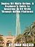 Buying Oil Wells Online A B...