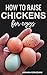 How to Raise Chickens for E...