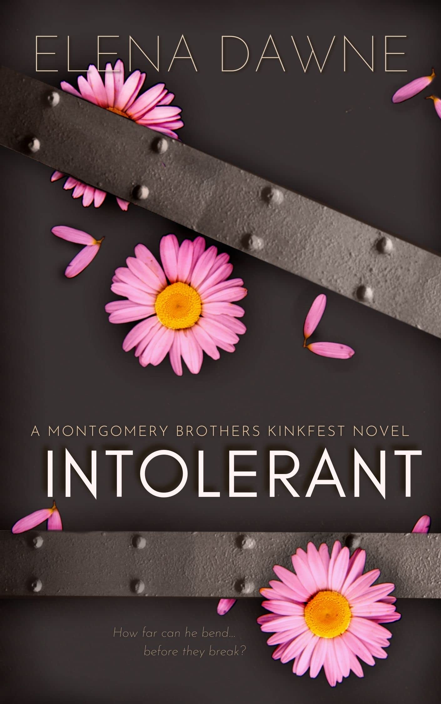 Intolerant (Filthy Rich & Kinky, #2)