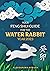 Your Feng Shui Guide For The Water Rabbit Year