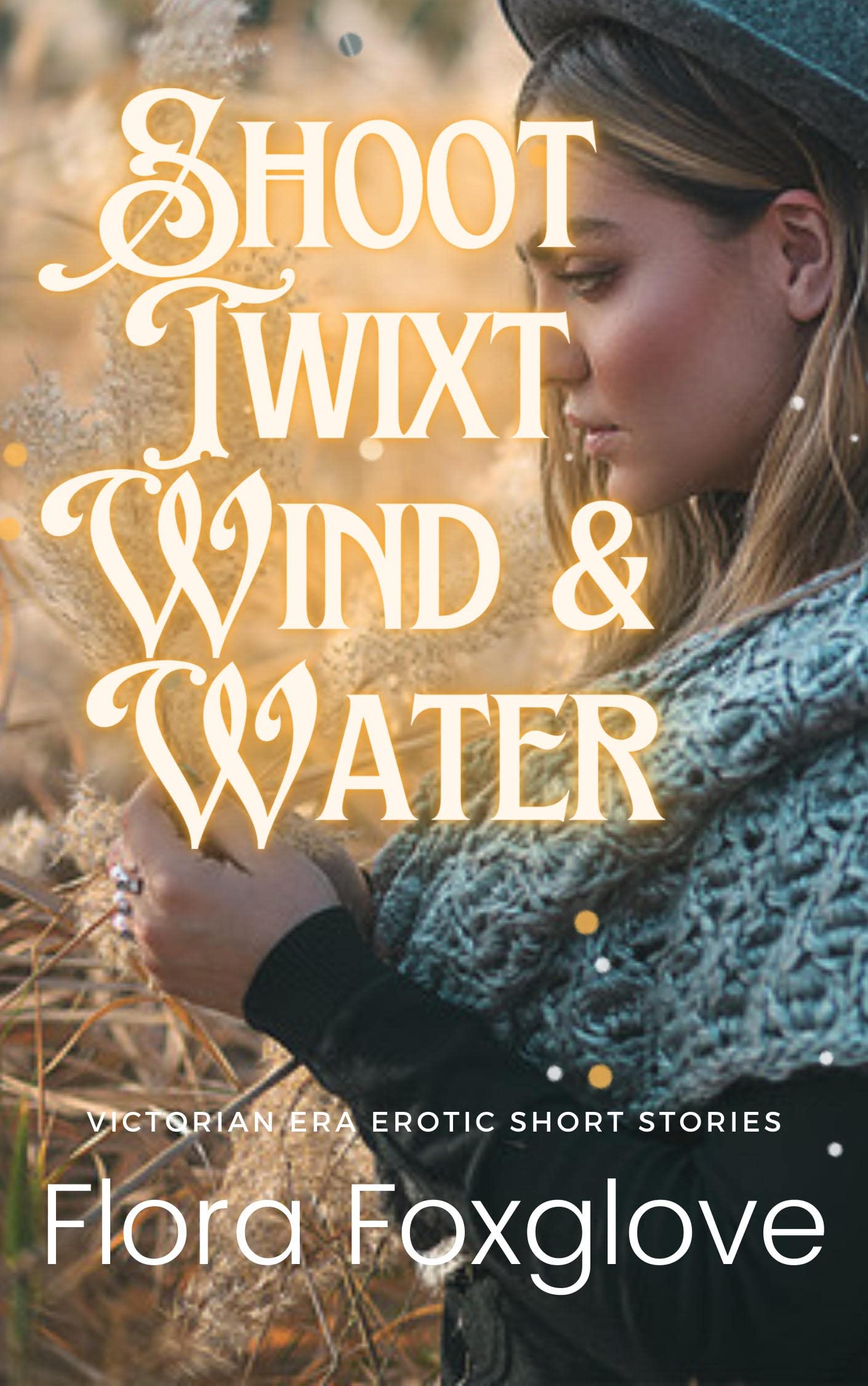 Shoot Twixt Wind & Water: Victorian Era Erotic Short Stories (Kindle Edition)