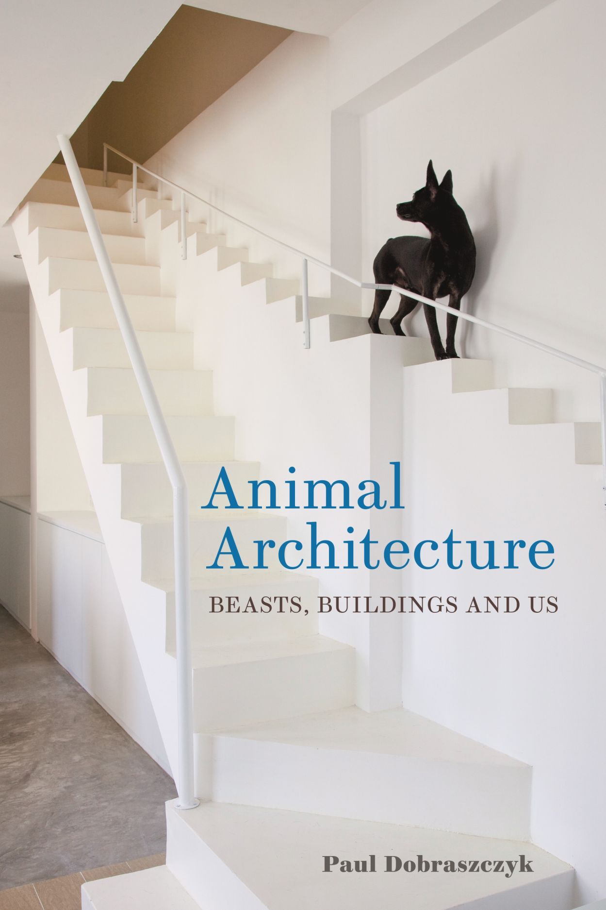 Animal Architecture: Beasts, Buildings and Us (Hardcover)