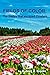 Fields of Color: The Theory...