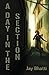 A Day in The Section by Jay Bhatti