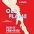 Old Flame by Molly Prentiss