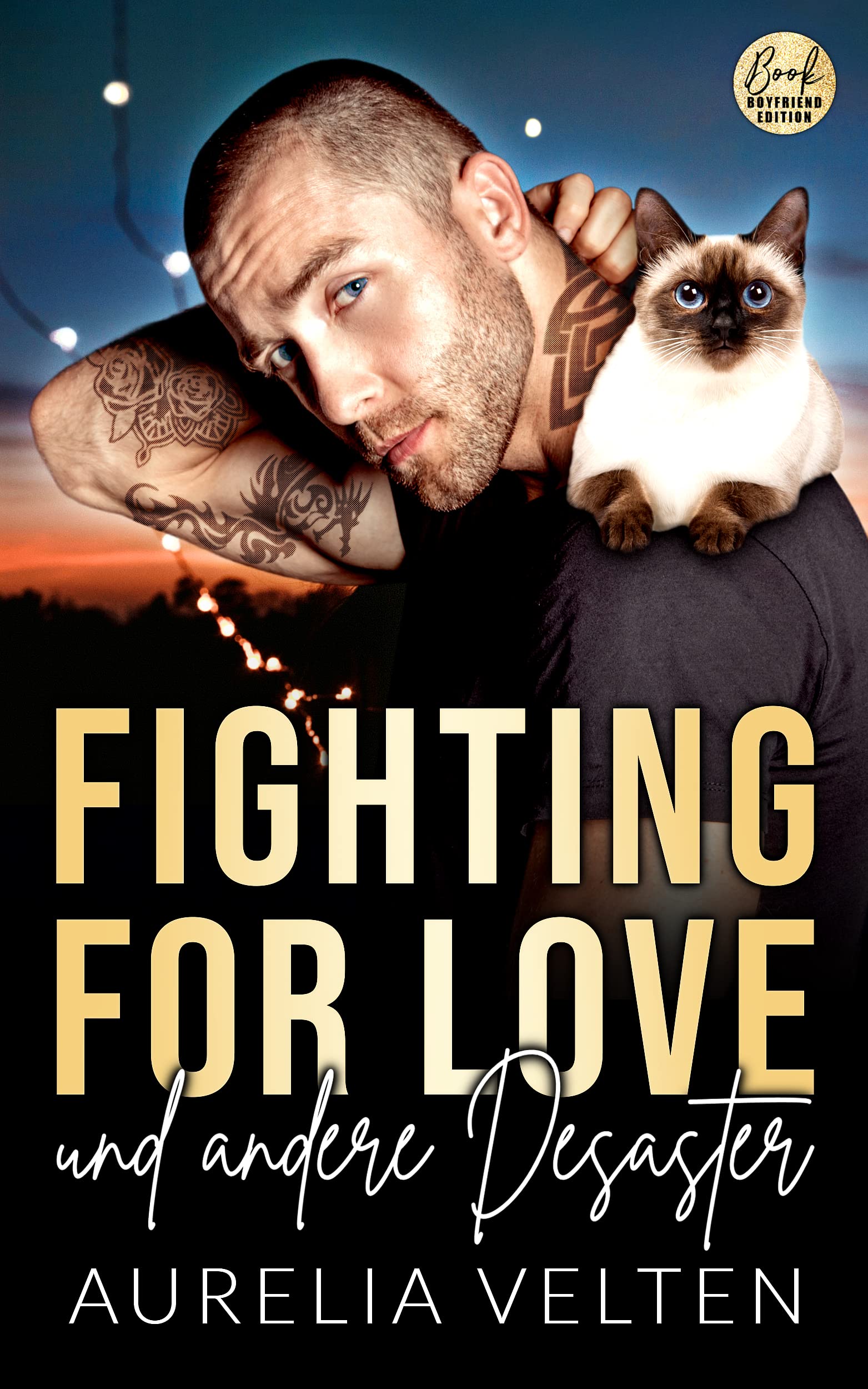 Fighting for Love und andere Desaster (Boston In Love)
